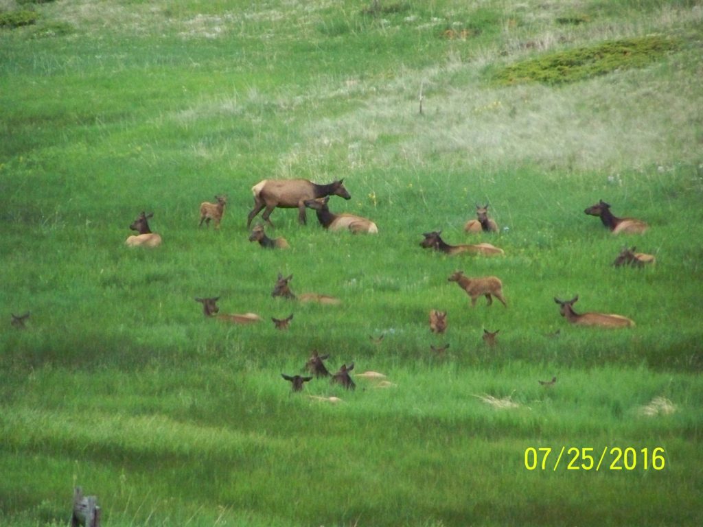 Photo Gallery Elk Valley Estates